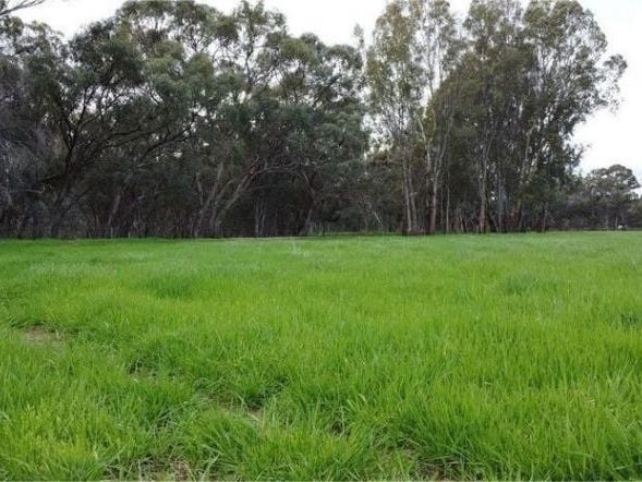 Property for sale - Echuca Village, Vic 3564