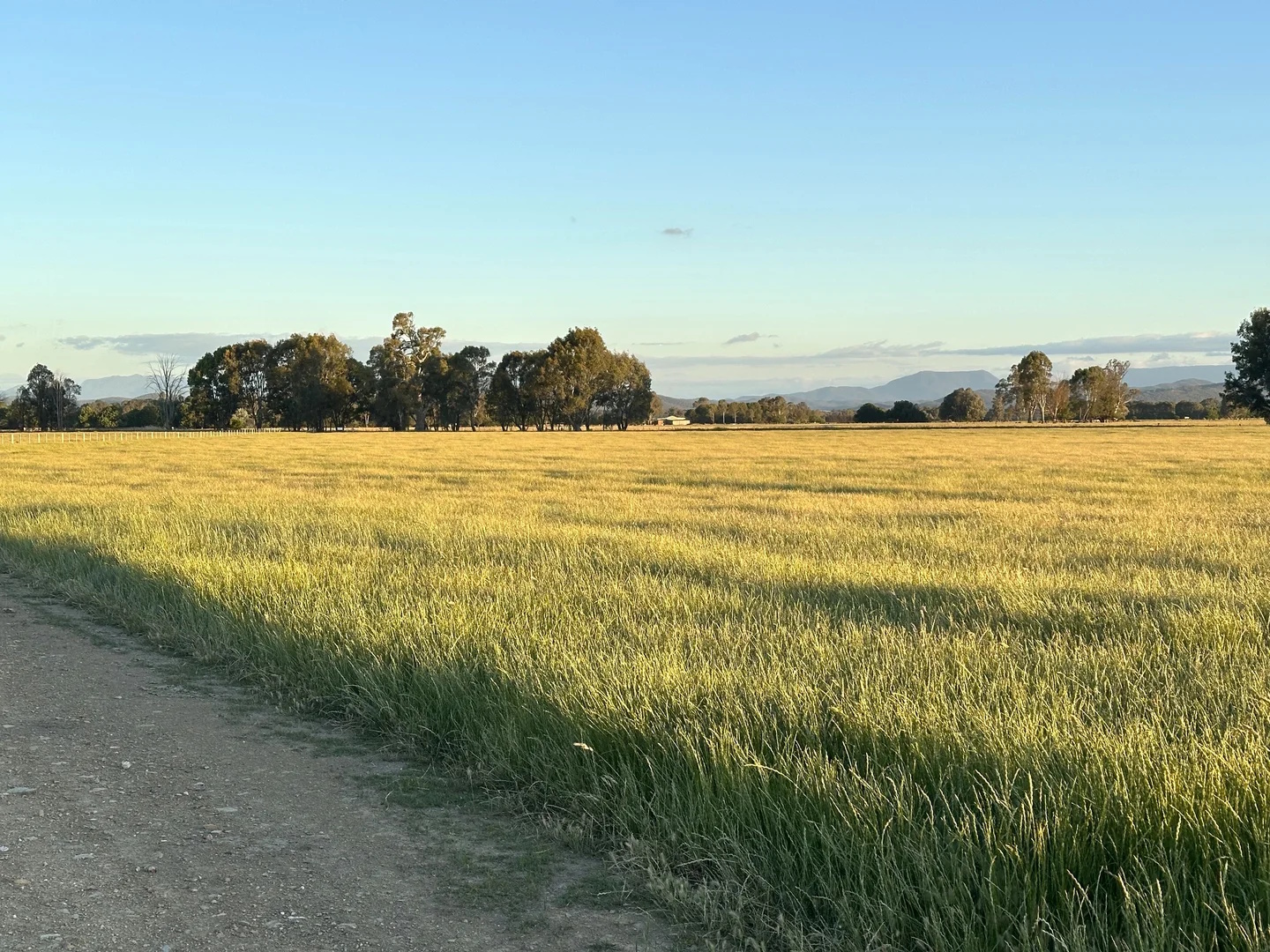 Land for sale - Docker, Vic 3678