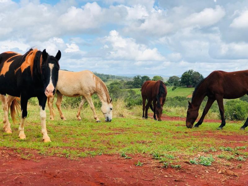 Private Listing - Childers, Qld 4660