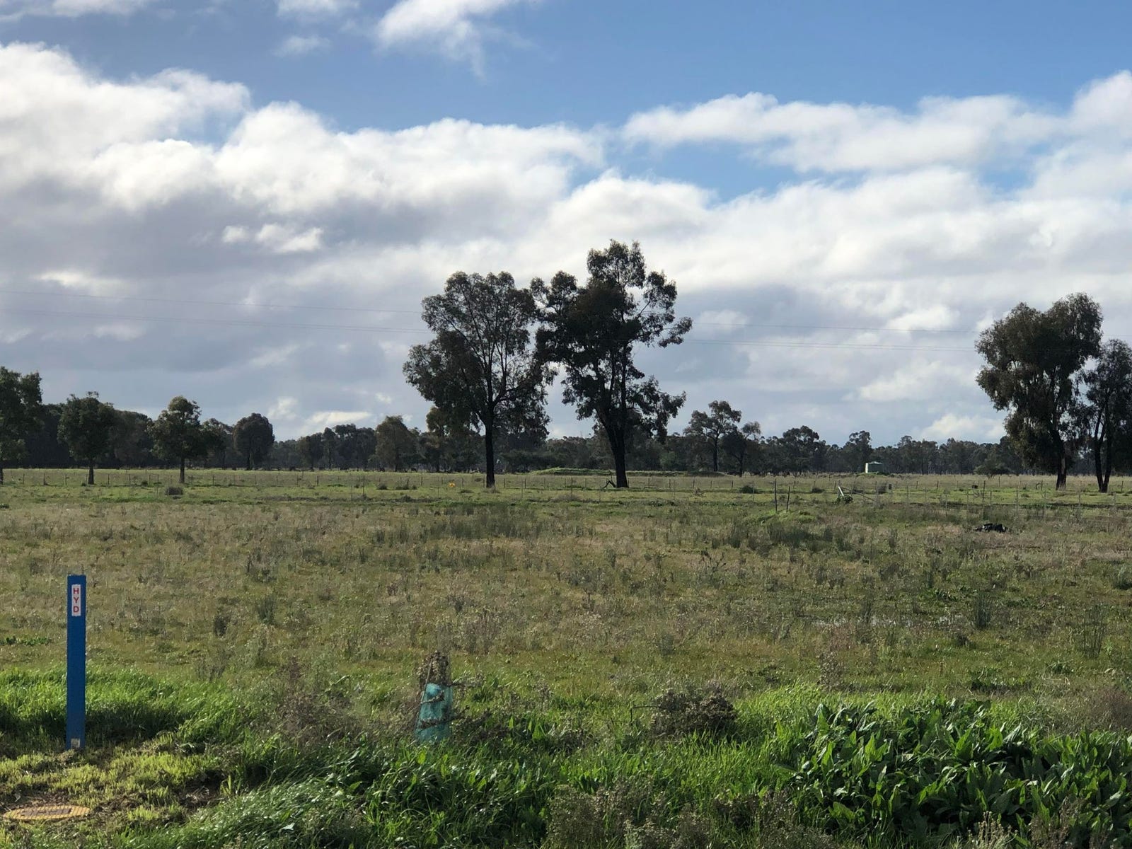 Land for sale - Mulwala, NSW 2647