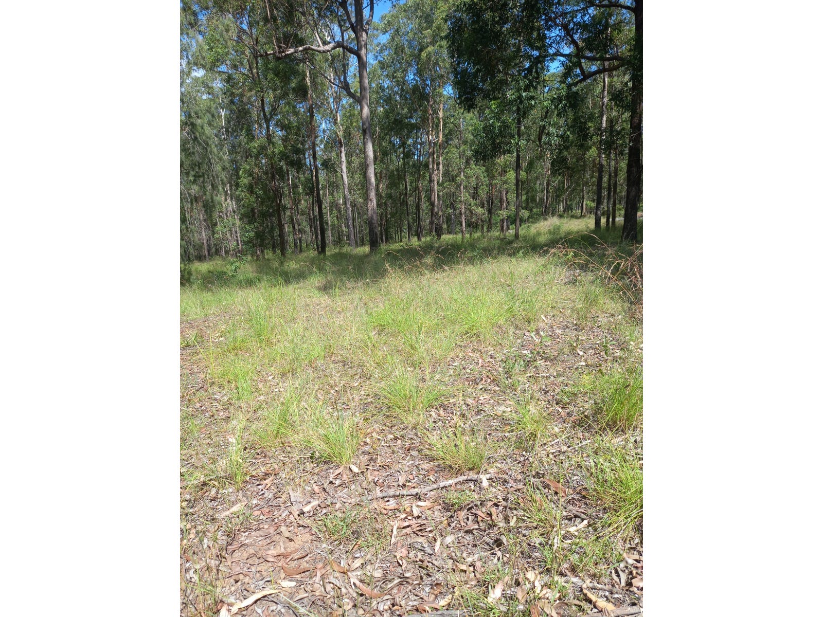 Private  Property - Blackbutt North, Qld 4314