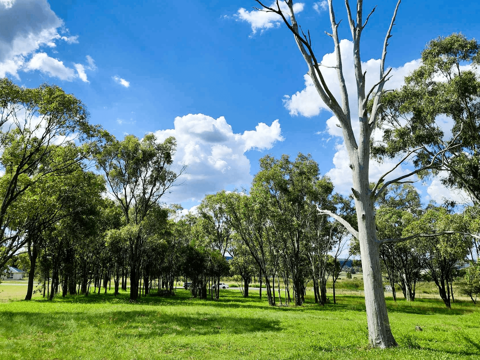 Private  Property - Rosenthal Heights, Qld 4370
