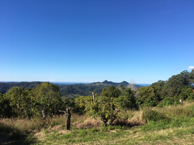 Private Rental in Main Arm, NSW 2482