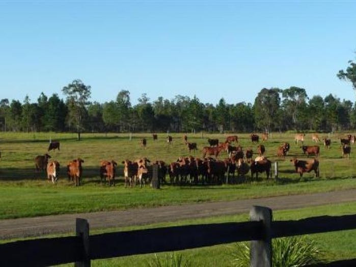 Private Listing - Whiporie, NSW 2469