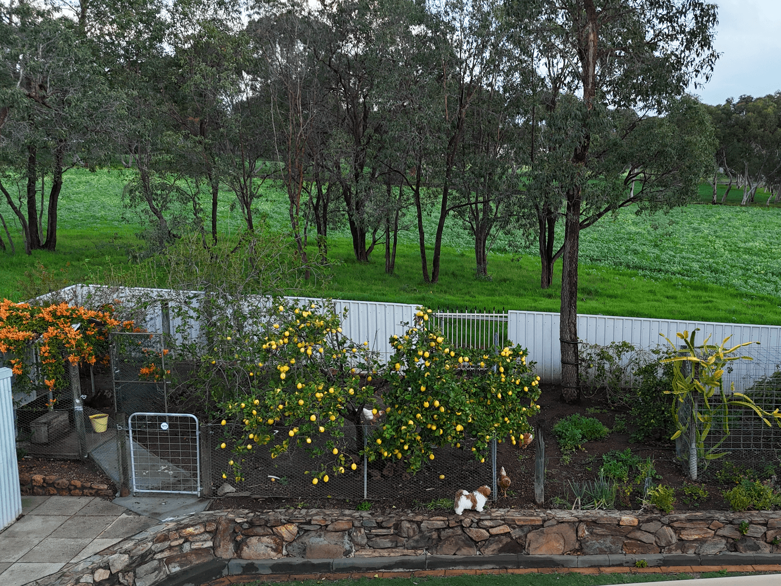 Sale Property - Gingin, WA 6503
