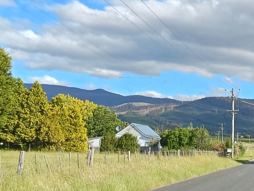 Private Real Estate - Springfield, Tas 7260