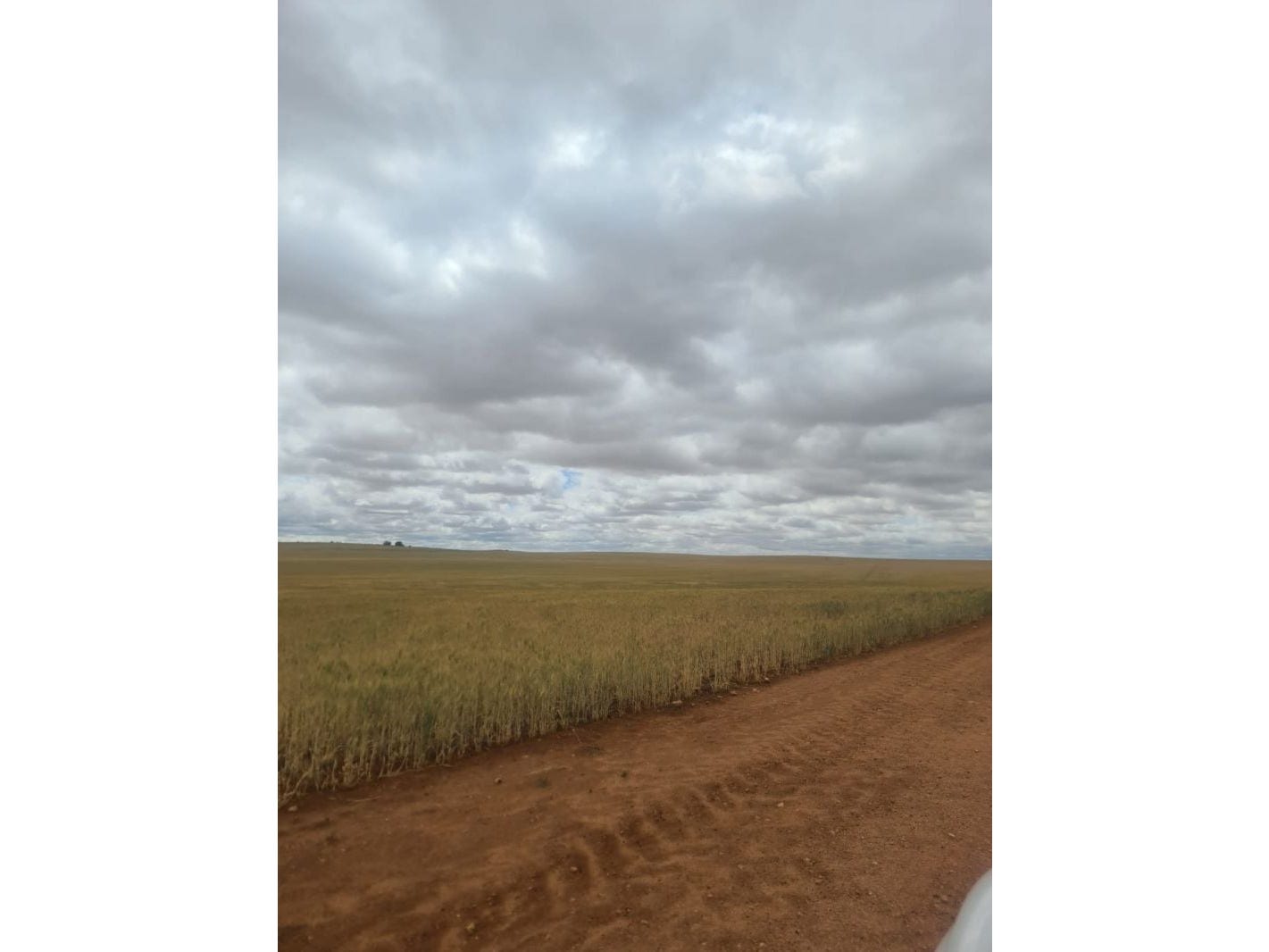 Land for sale - Wunkar, SA 5311