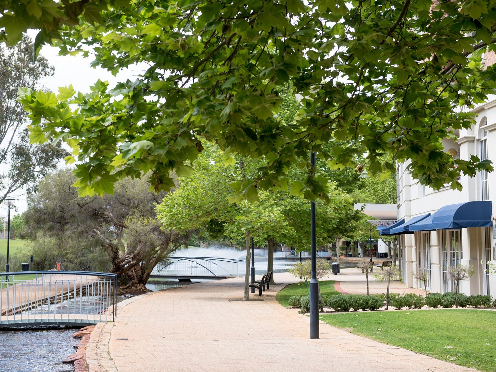 Private Rental in East Perth, WA 6004