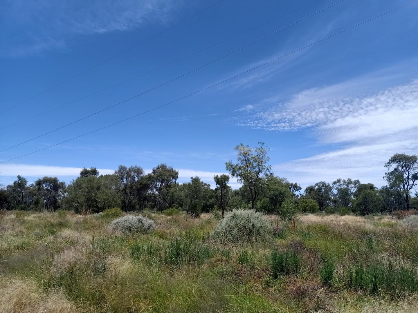 For Sale By Owner Carinda, NSW 2831