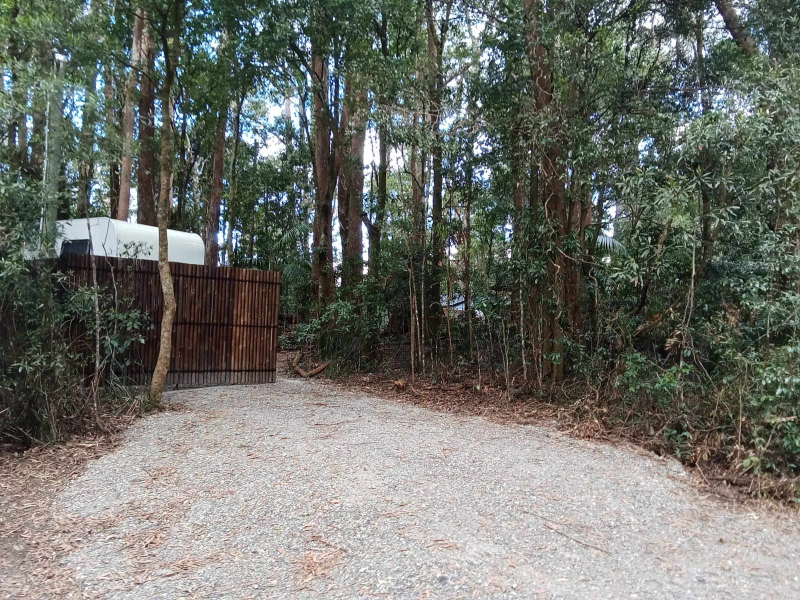 Private Listing - Springbrook, Qld 4213