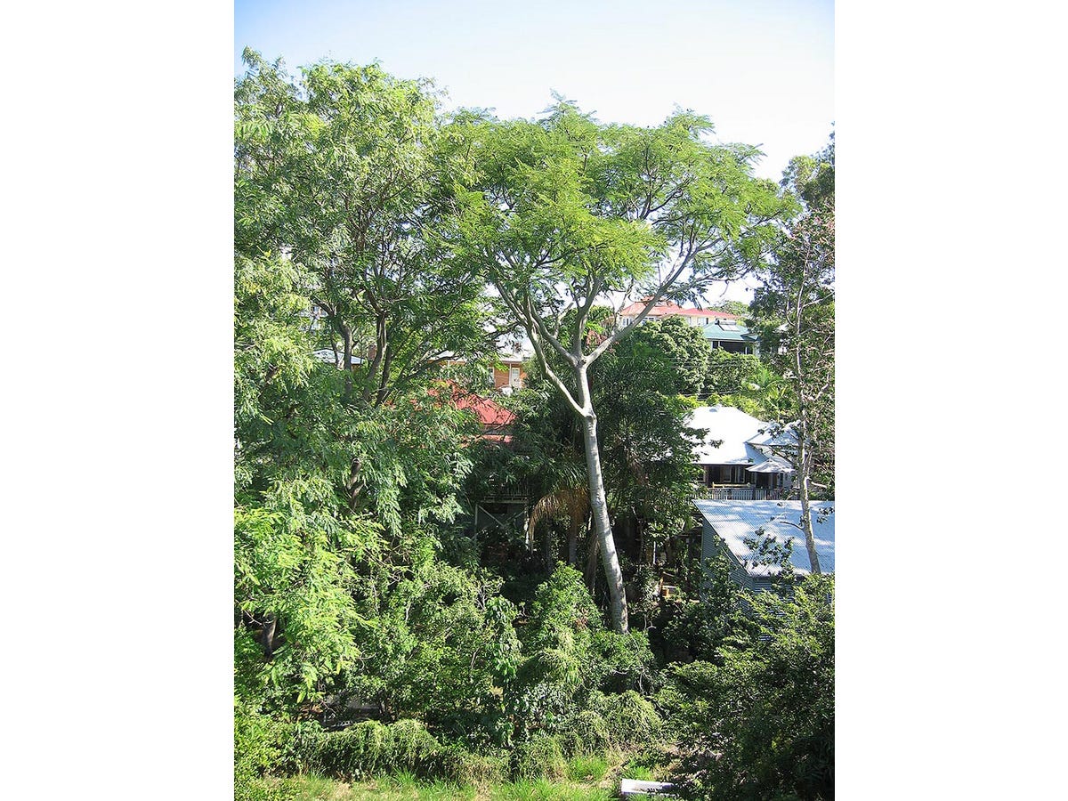 Private Rental in Highgate Hill, Qld 4101