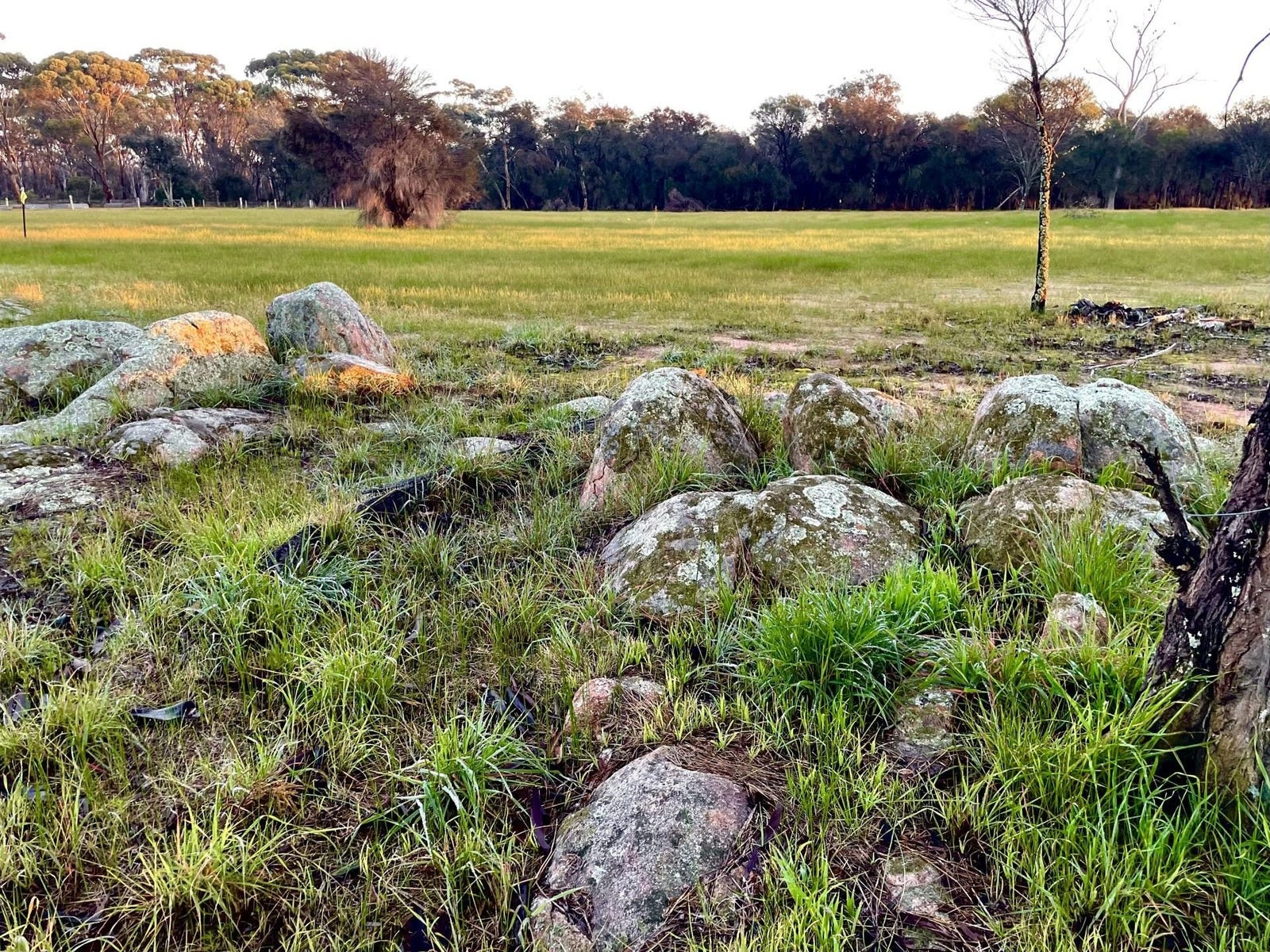 Sale Property - Woodanilling, WA 6316