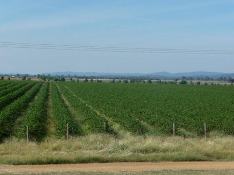 Private Listing - Billimari, NSW 2804