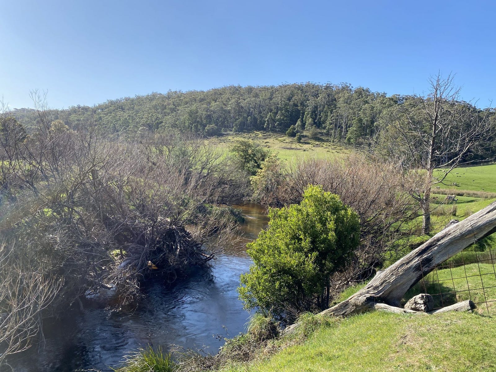 Property for Sale - St Helens, Tas 7216