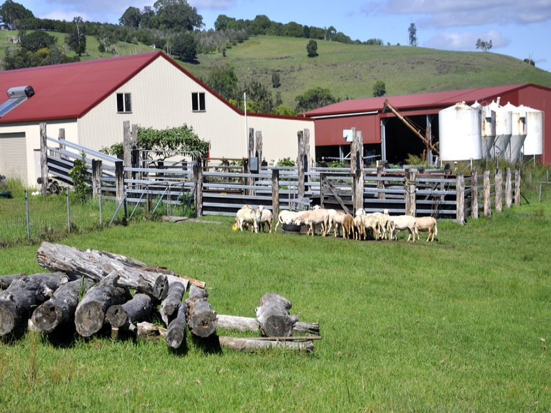 Private Listing - Corndale, NSW 2480