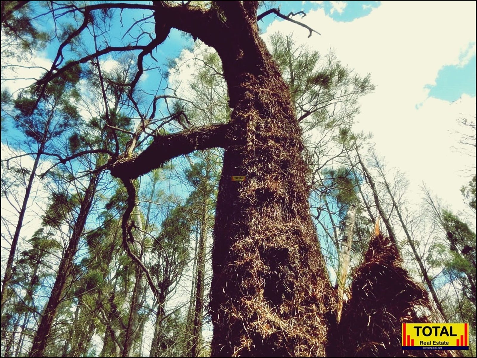 Private Property - Cypress Gardens, Qld 4357