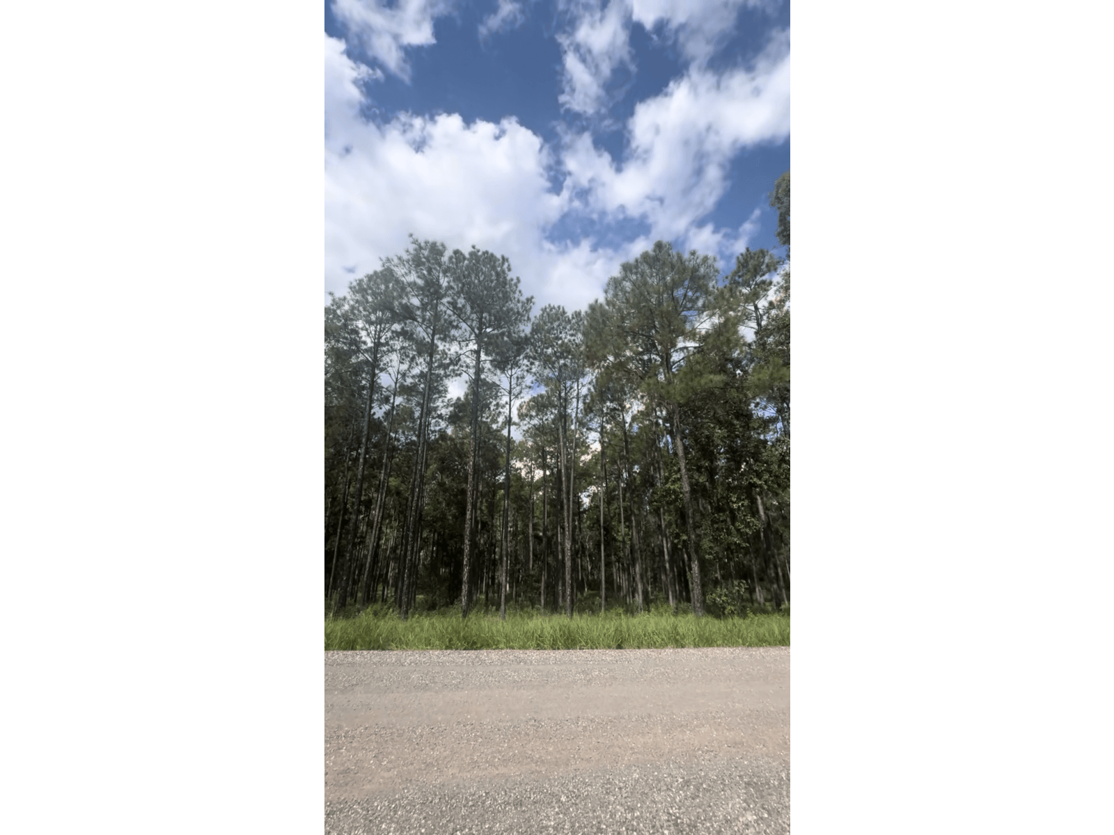 Sales Property - Glenwood, Qld 4570