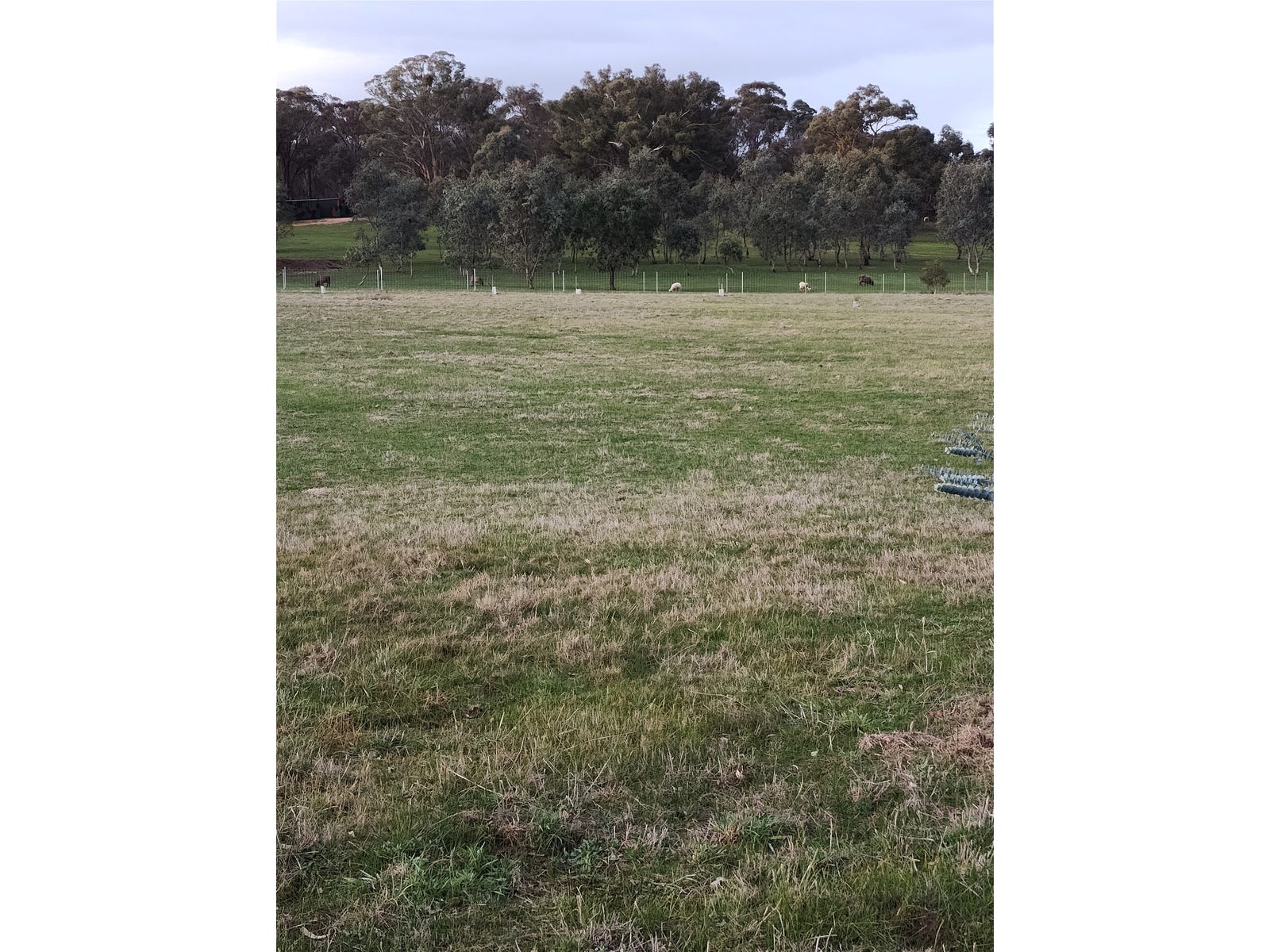 For Sale By Owner Gower, Vic 3463
