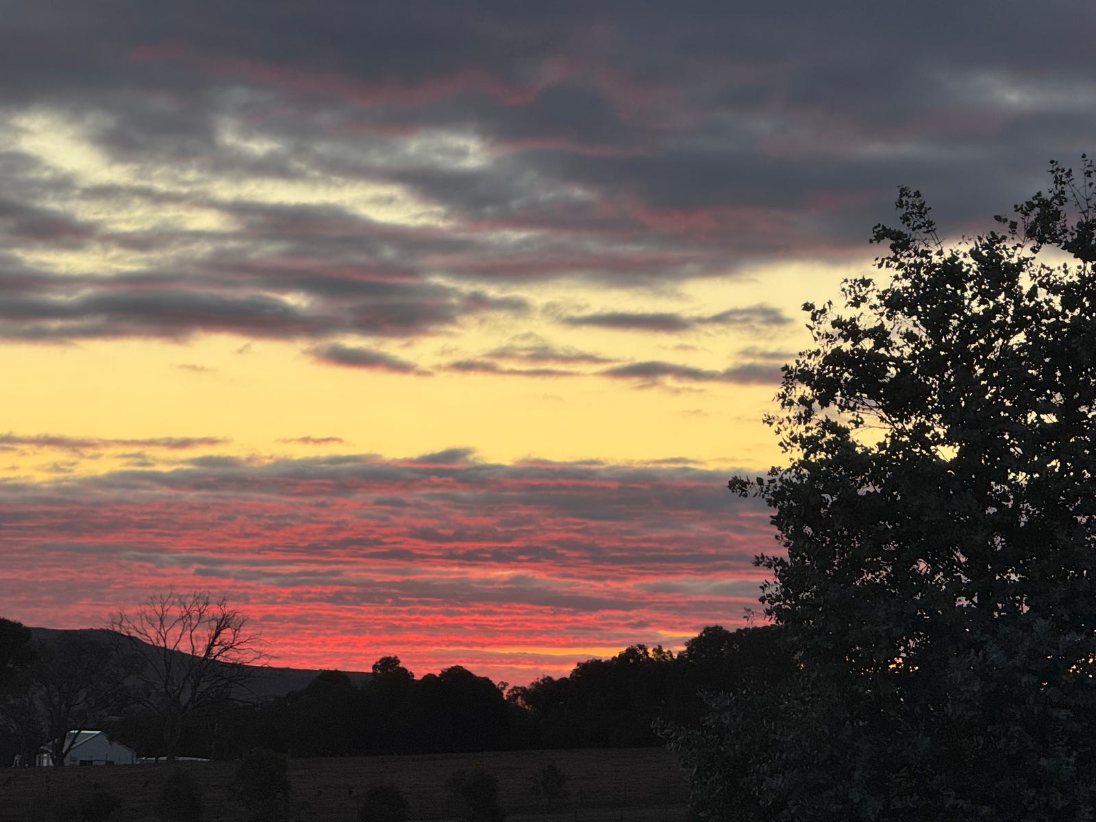 Sale Property - Murrumbateman, NSW 2582