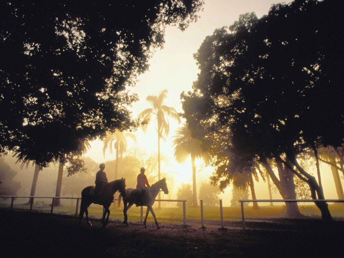 Property for Rent: Randwick, NSW 2031