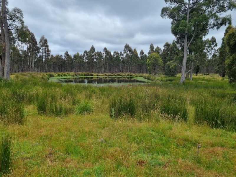 Property for Sale - Bothwell, Tas 7030