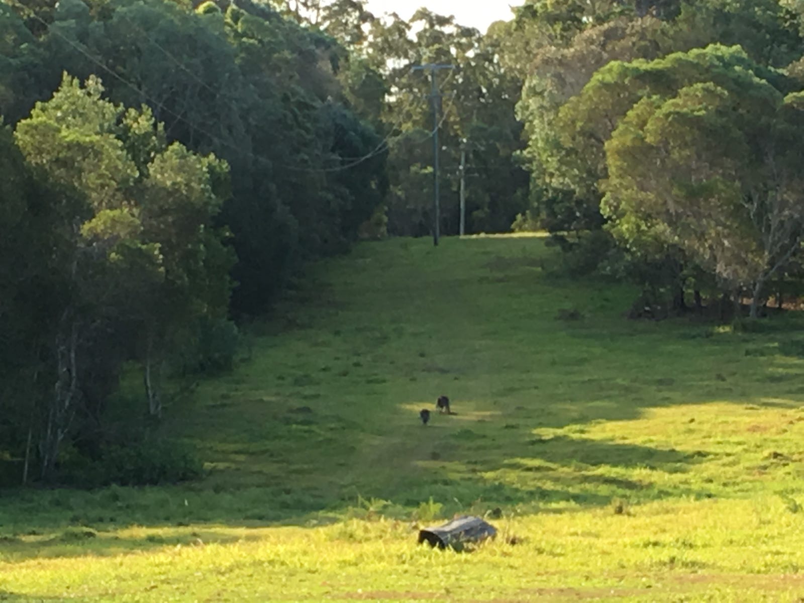 Rental Property - pCootharaba, Qld 4565