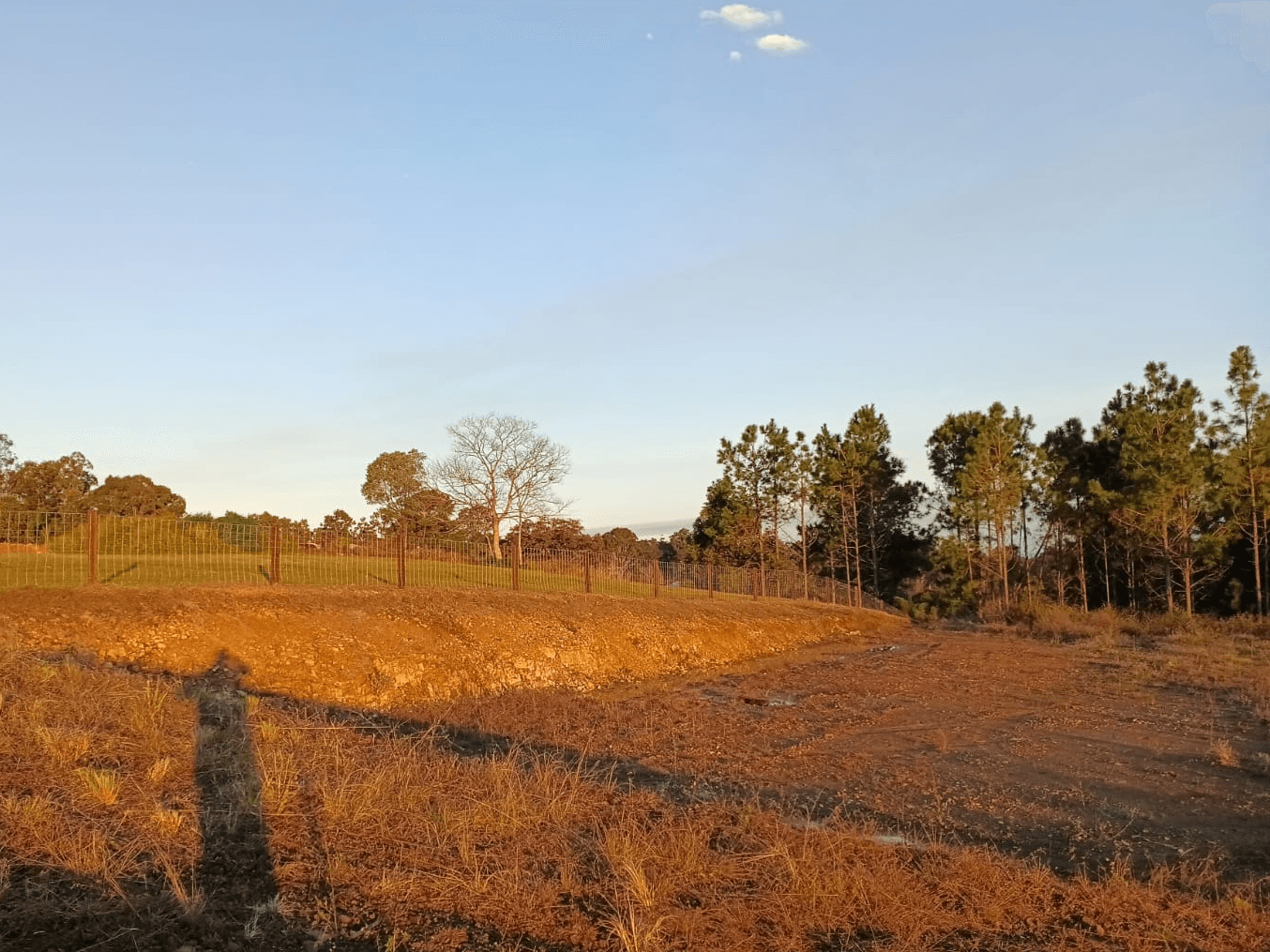 Land for sale - Chatsworth, Qld 4570
