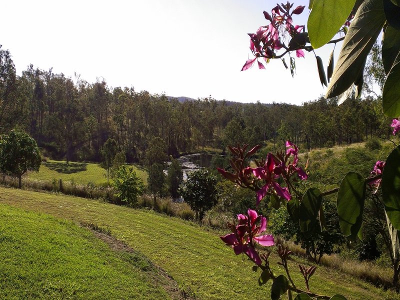 Private Listing - Gin Gin, Qld 4671