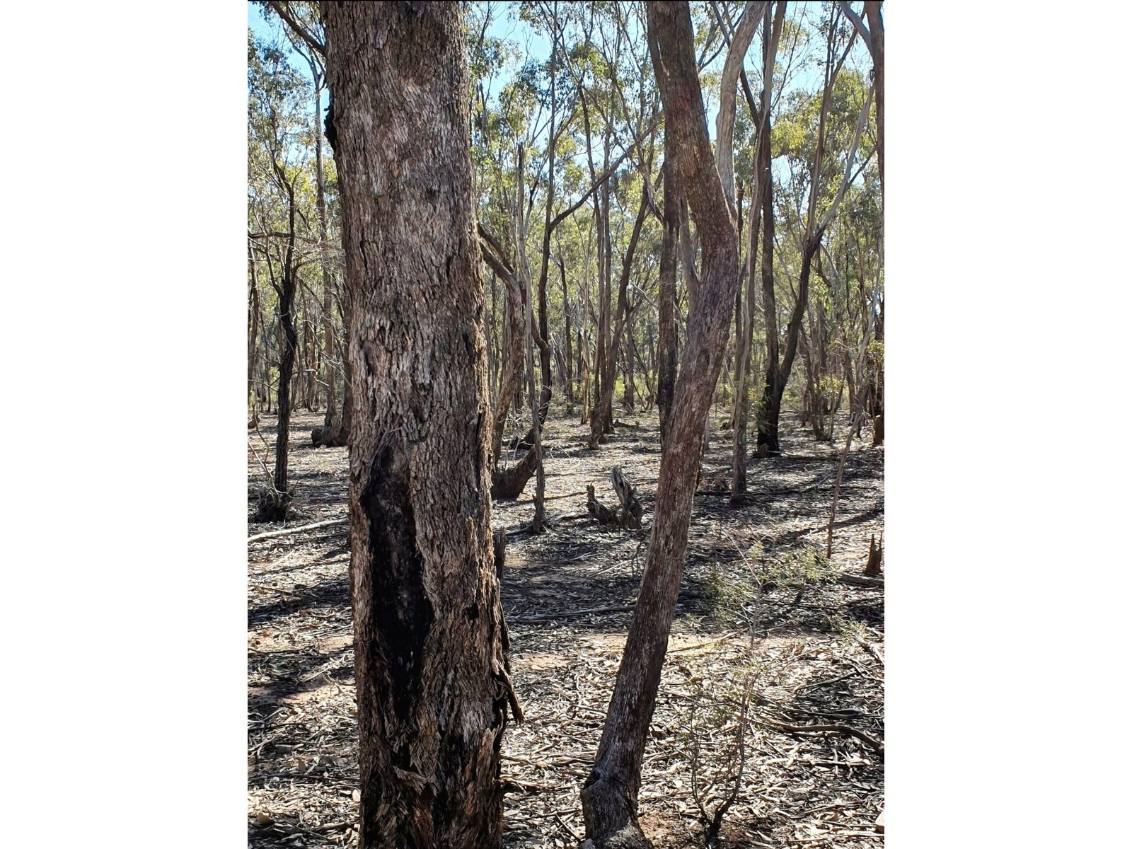 Private Property - Myers Flat, Vic 3556