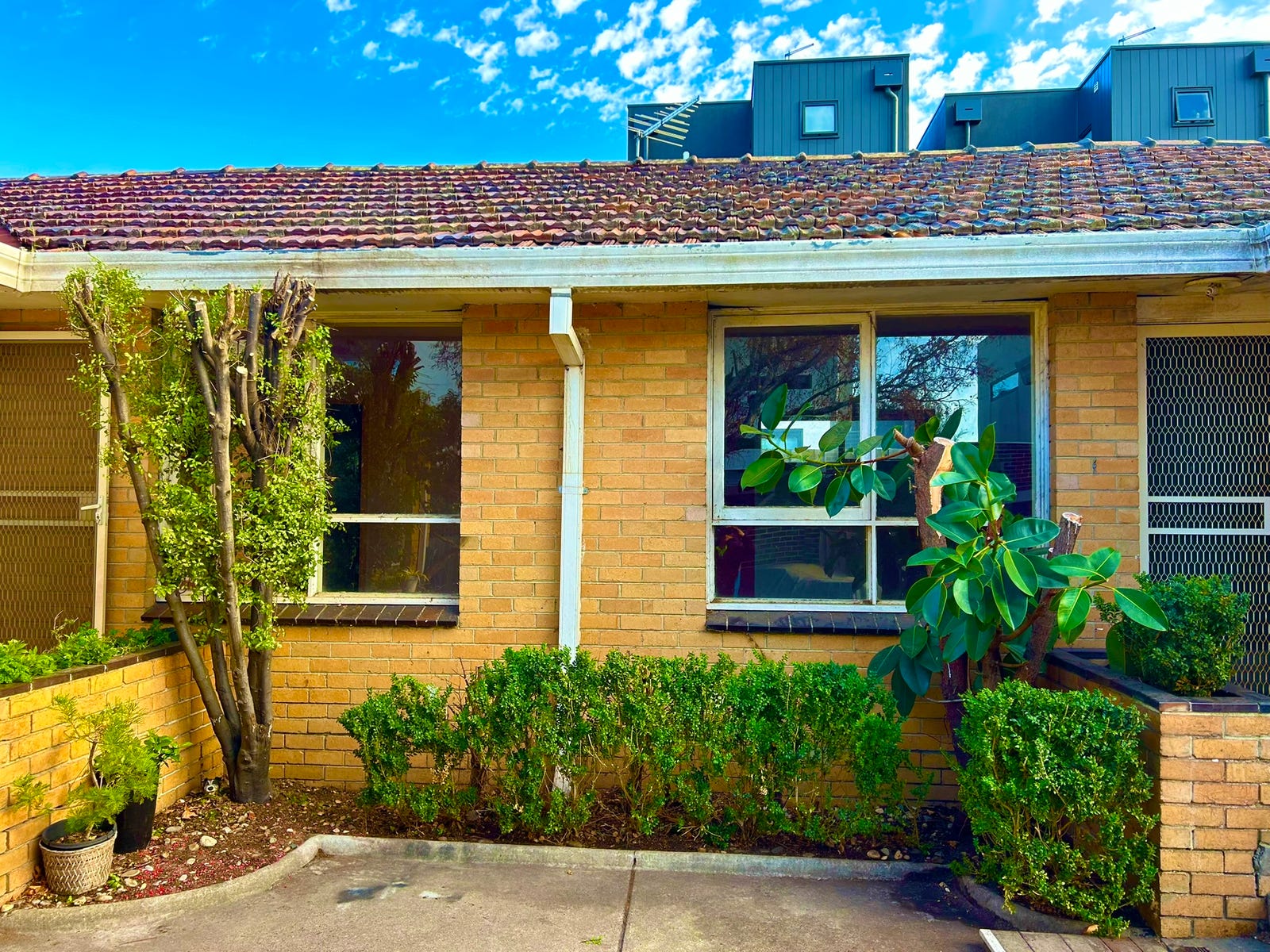 Rental Property - Mentone, Vic 3194