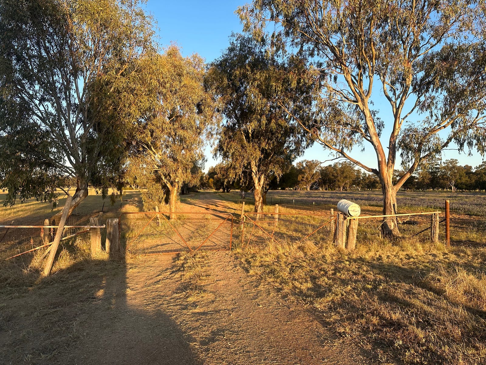 Private Real Estate - Quandialla, NSW 2721