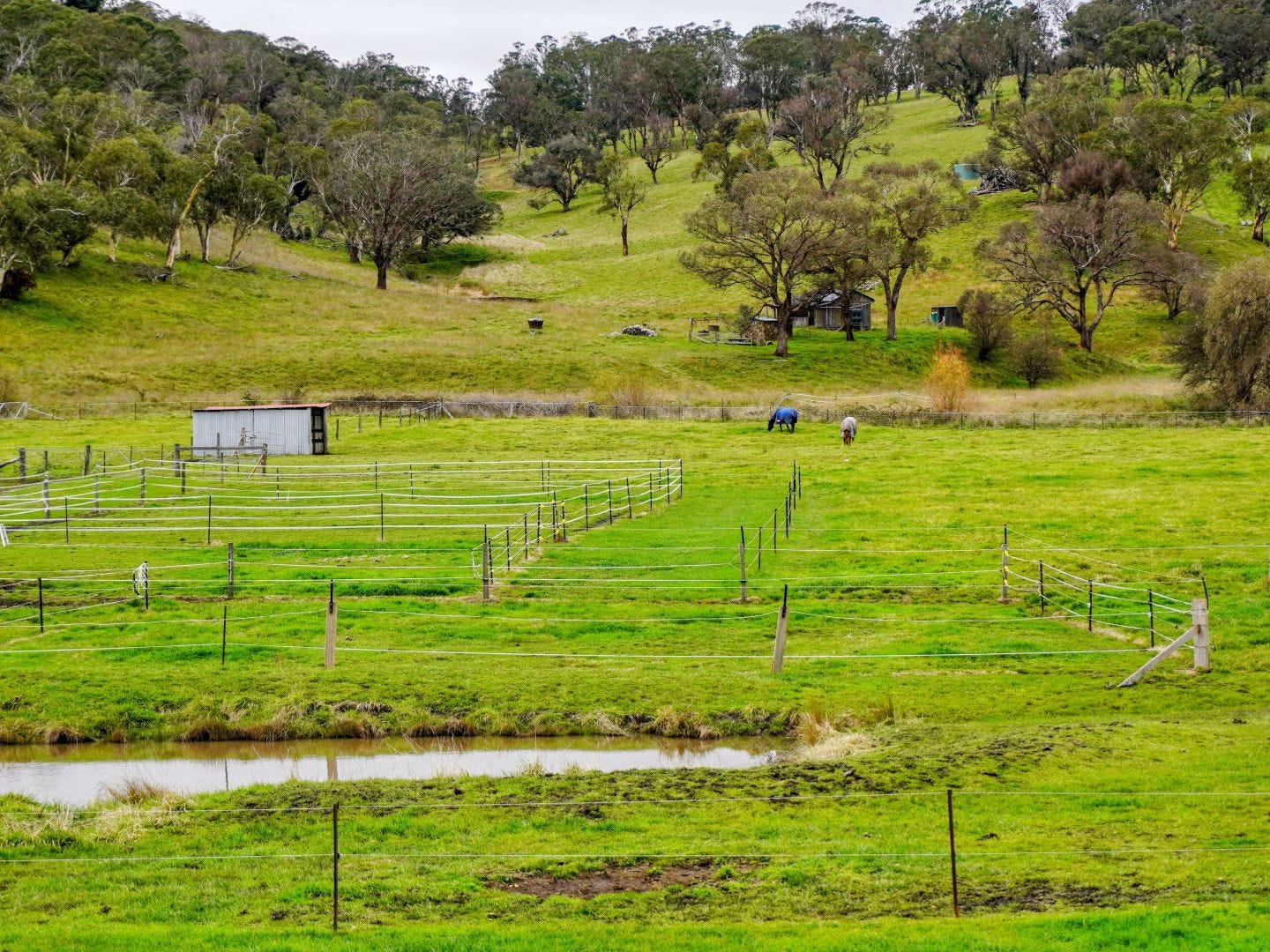 Land for sale - Walcha, NSW 2354