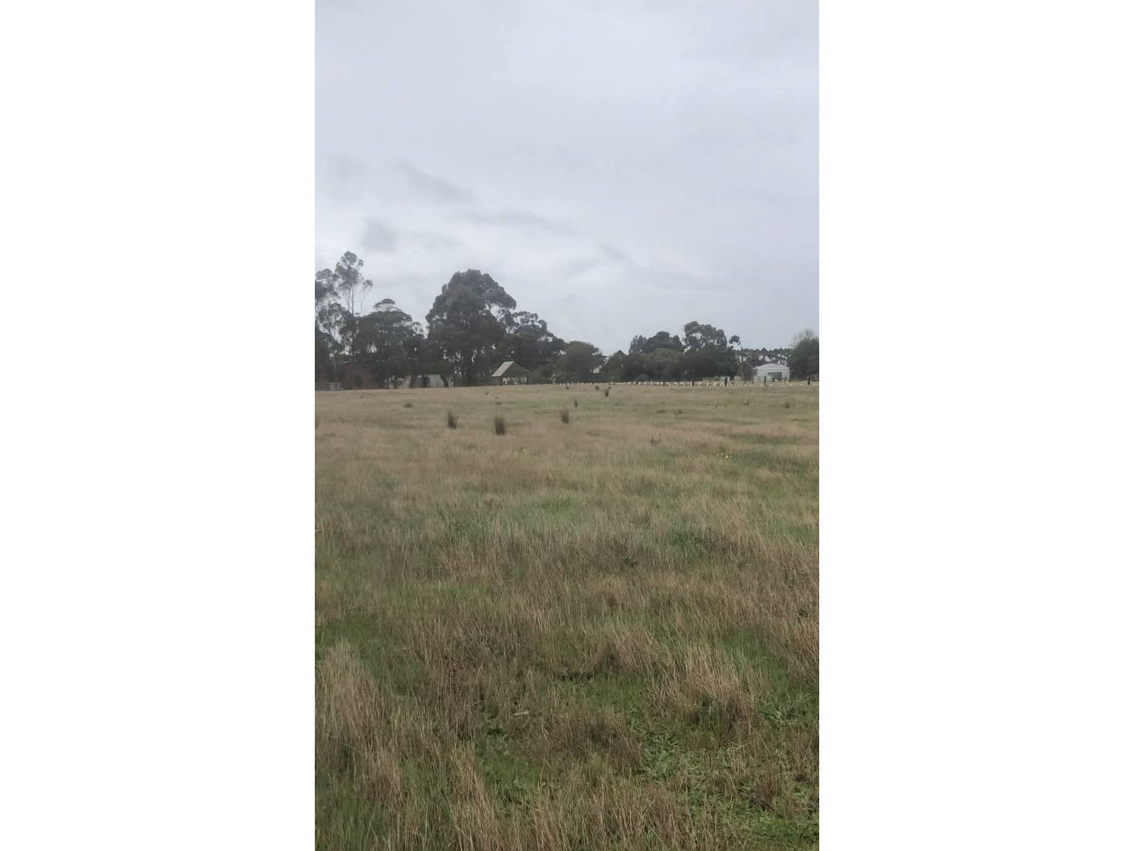 Sale Property - Cressy, Vic 3322