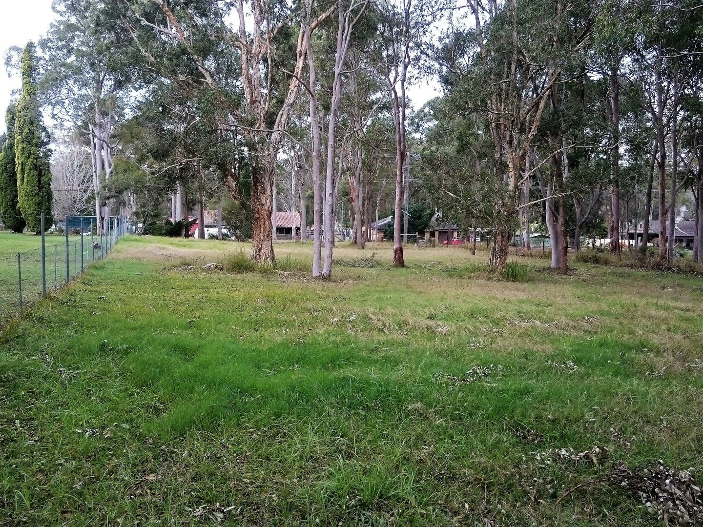 Property for Sale - Medowie, NSW 2318
