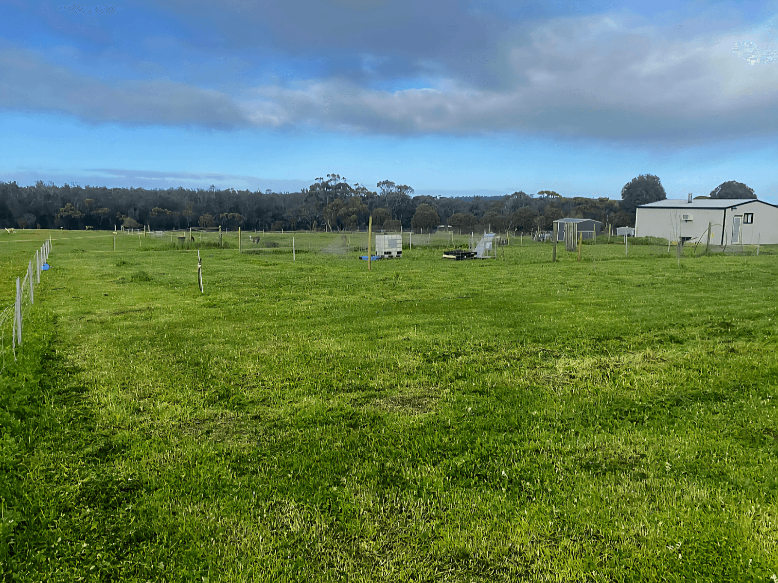 Sales Property - Moojebing, WA 6317