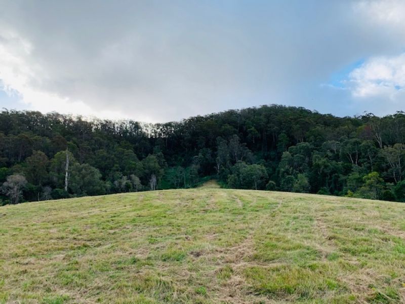 Private Listing - Wingham, NSW 2429