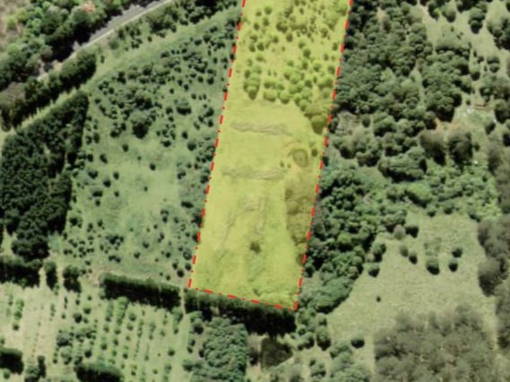 Land for sale - Sassafras, NSW 2622