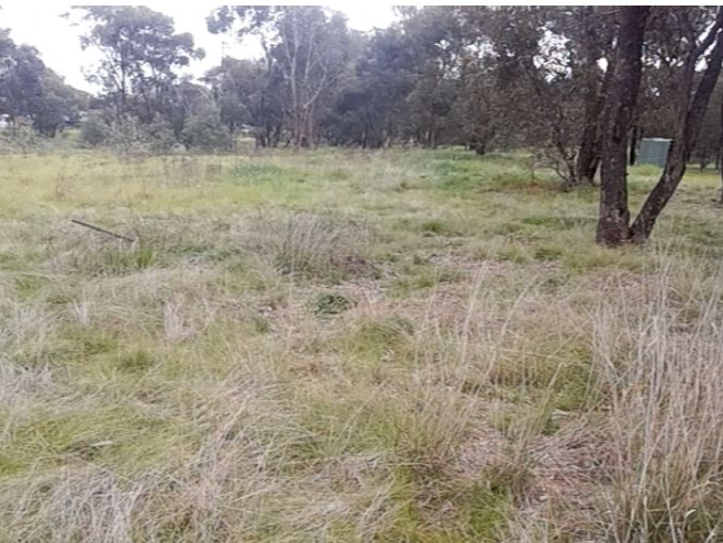 Private Real Estate - Illabo, NSW 2590