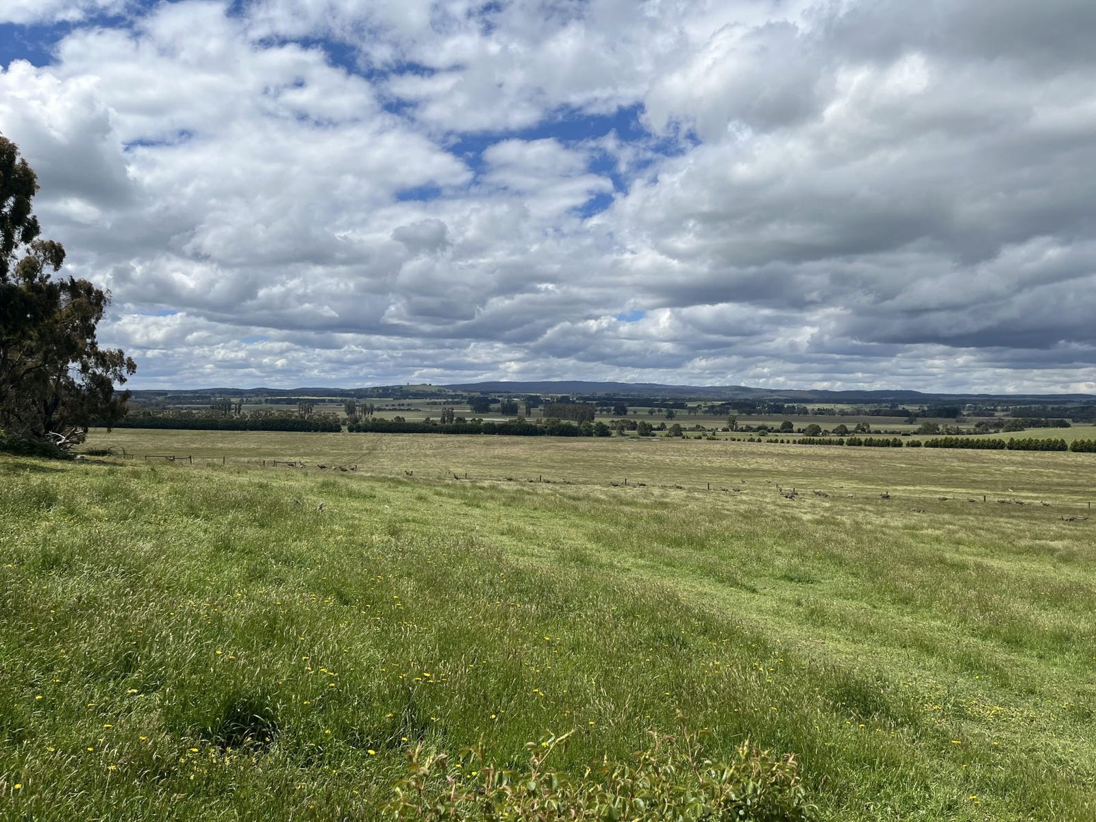 Land for sale - Ballan, Vic 3342