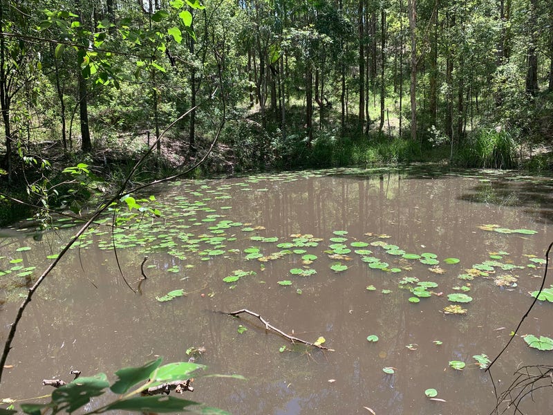 Private Property - Glenview, Qld 4553