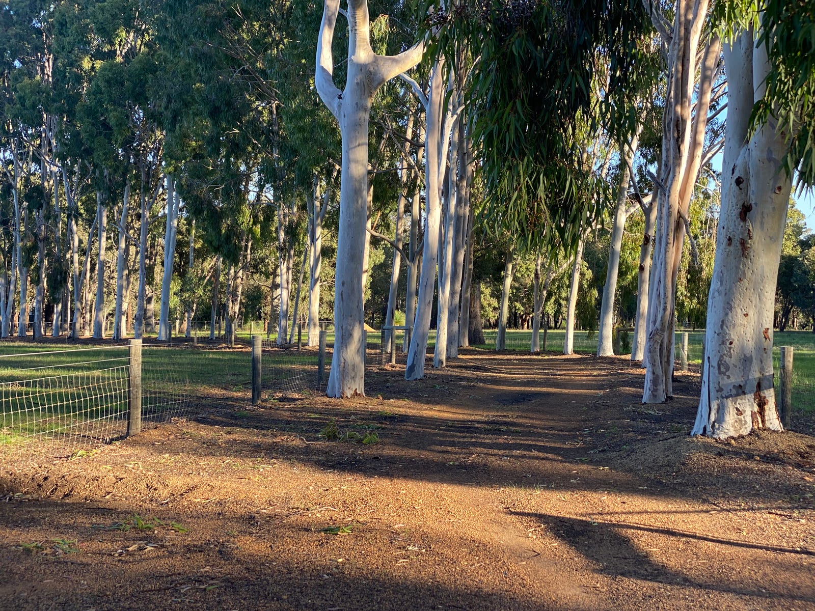 Sale Property - Wooroloo, WA 6558