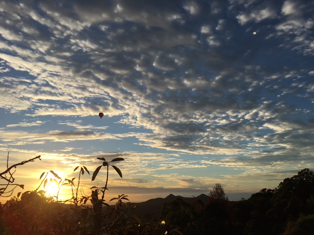 Private Rental in Main Arm, NSW 2482