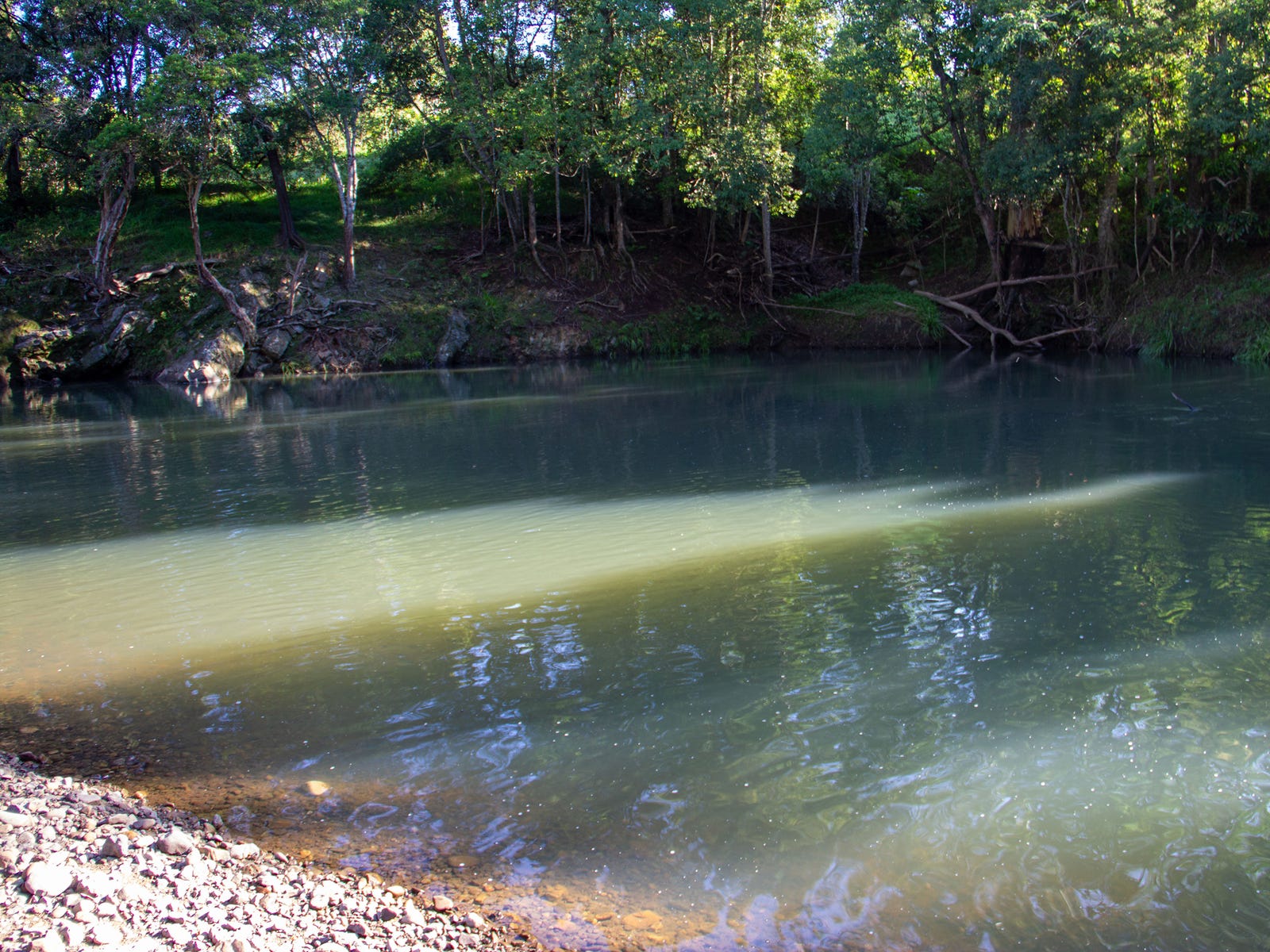 Land for sale - Chillingham, NSW 2484