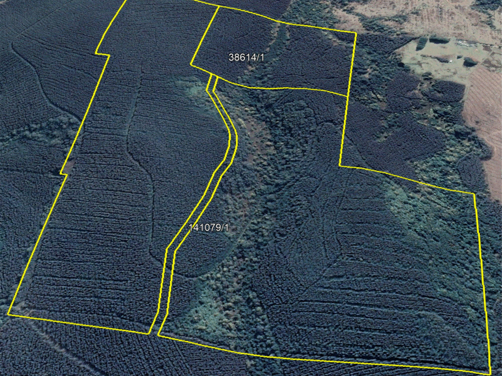 Property for Sale - Tayene, Tas 7259