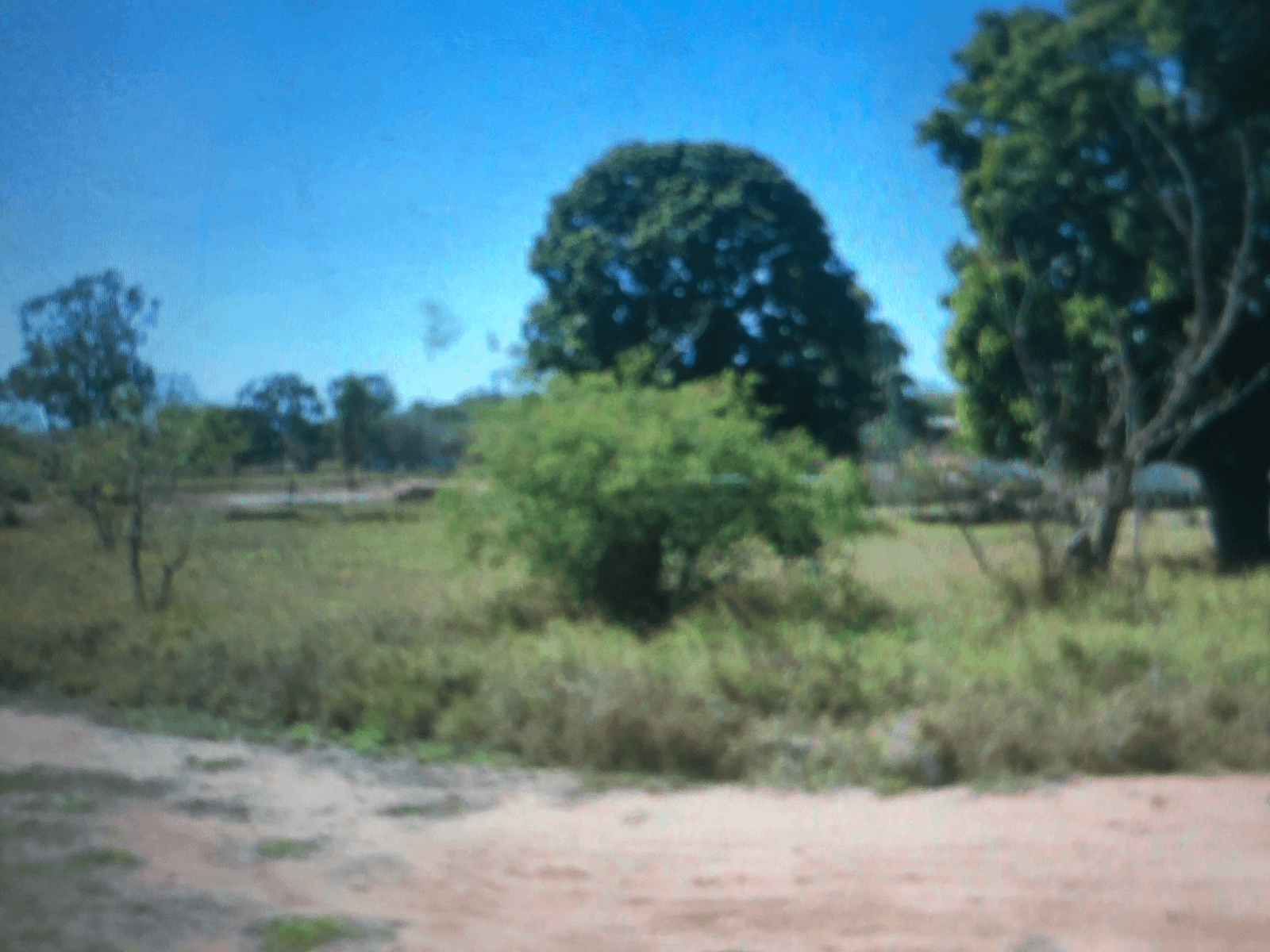Private Property - Torrens Creek, Qld 4816