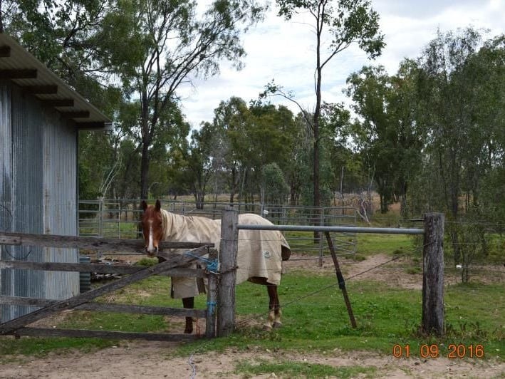 Private Listing - Wandoan, Qld 4419