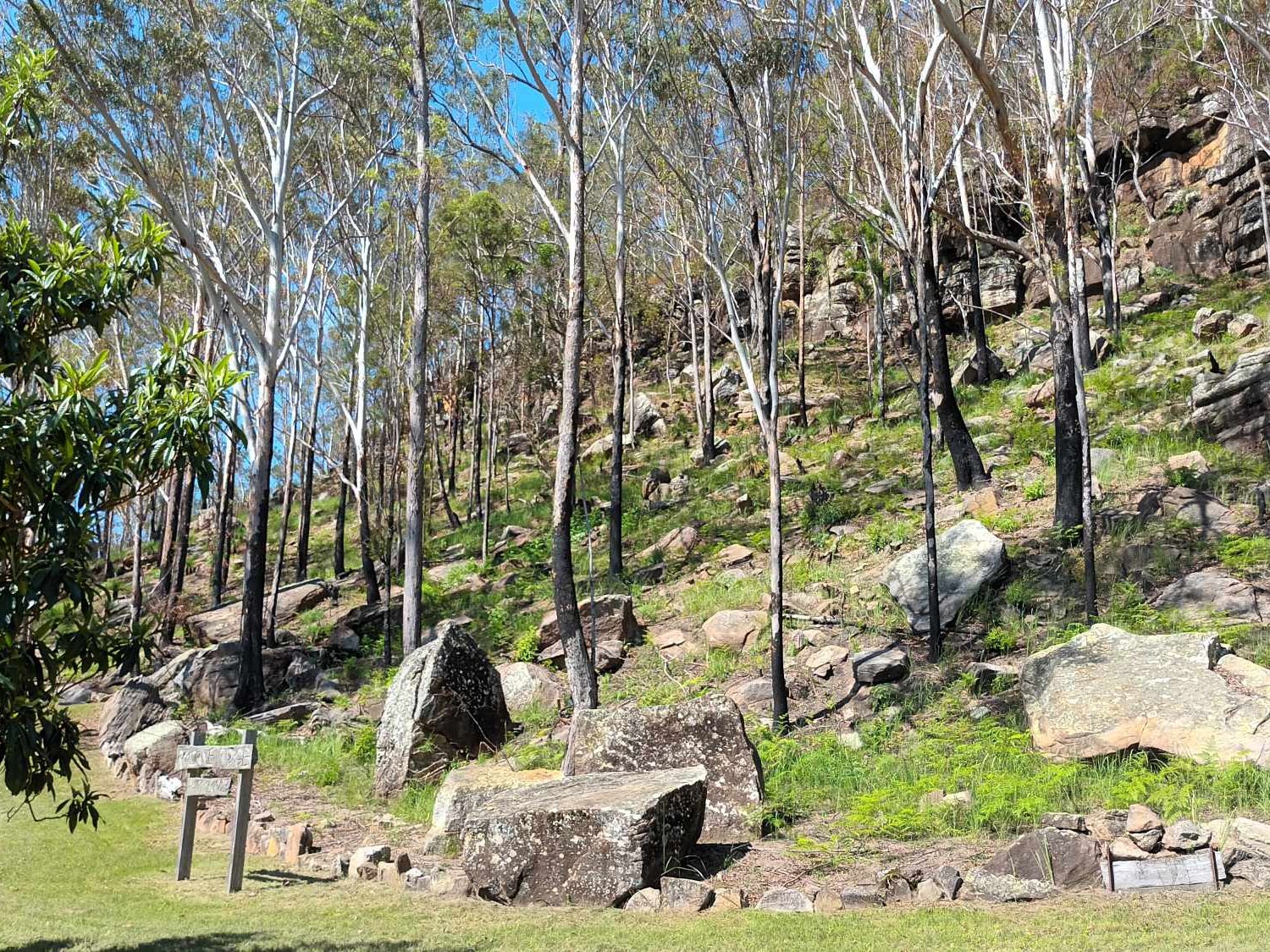 Sale Property - Ramornie, NSW 2460