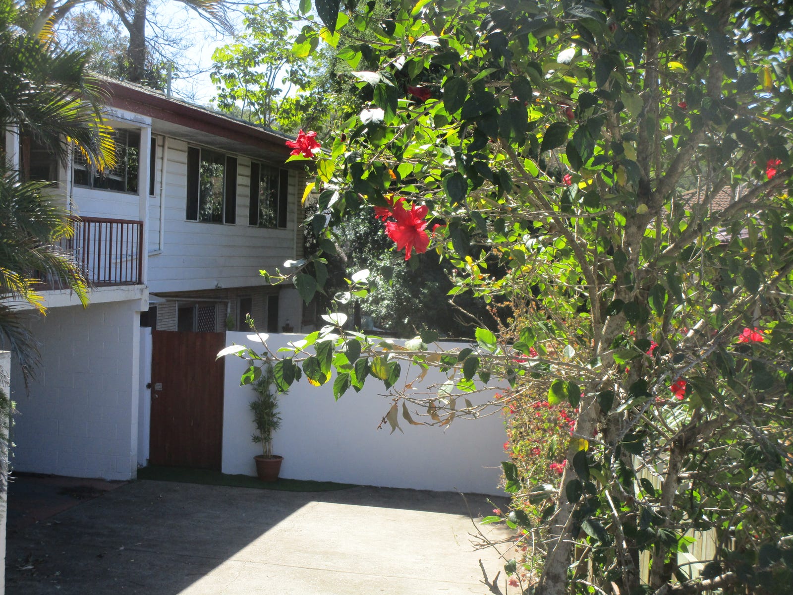 Property for Rent: Chapel Hill, Qld 4069