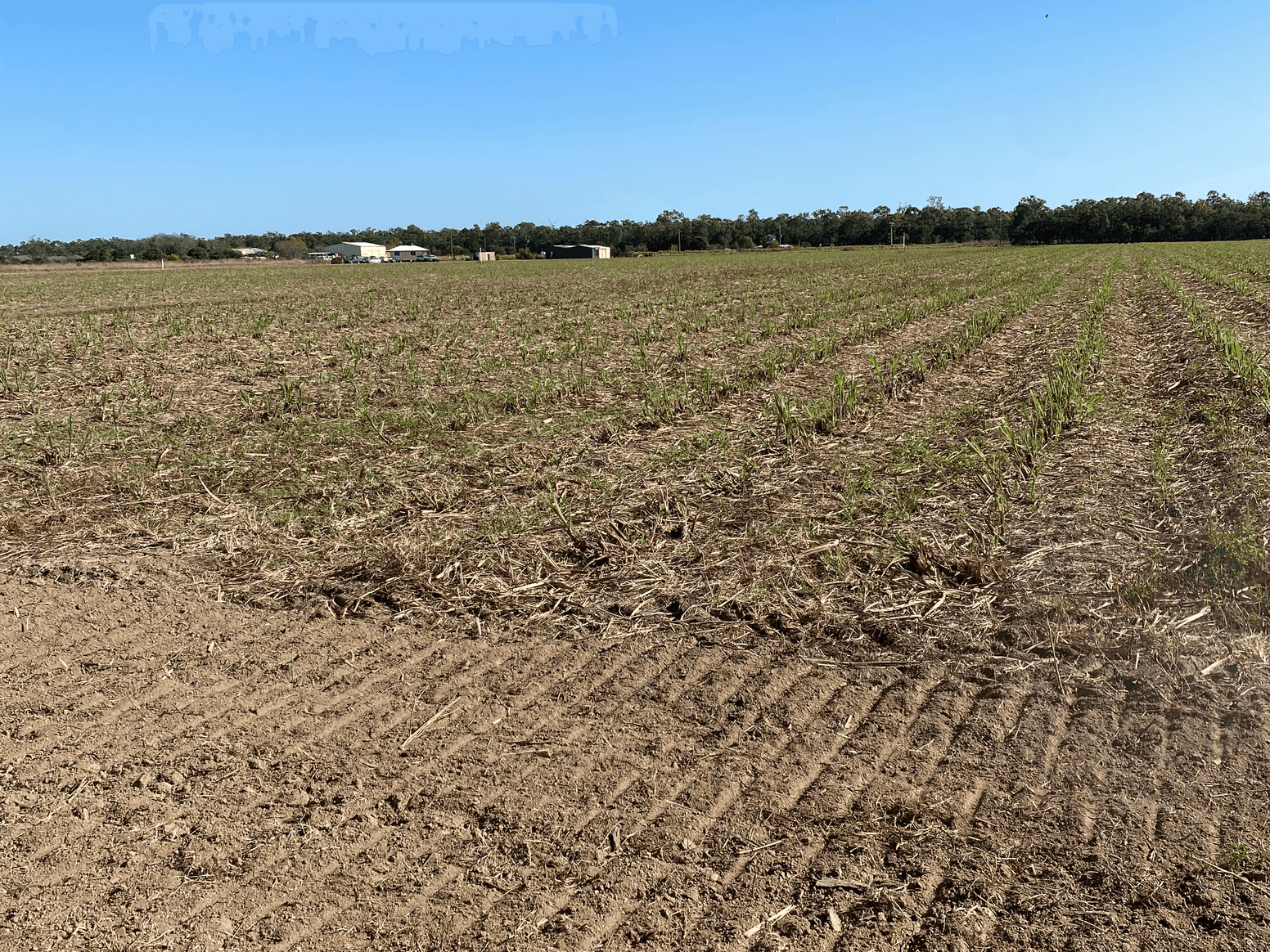 Land for sale - Alloway, Qld 4670