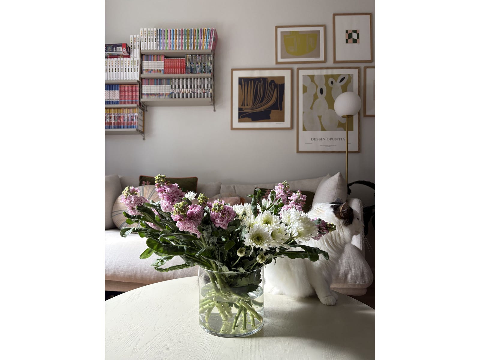 Private Property - Caulfield, Vic 3162